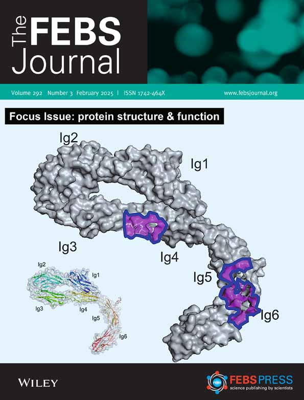 febs.v292.3.cover.jpg